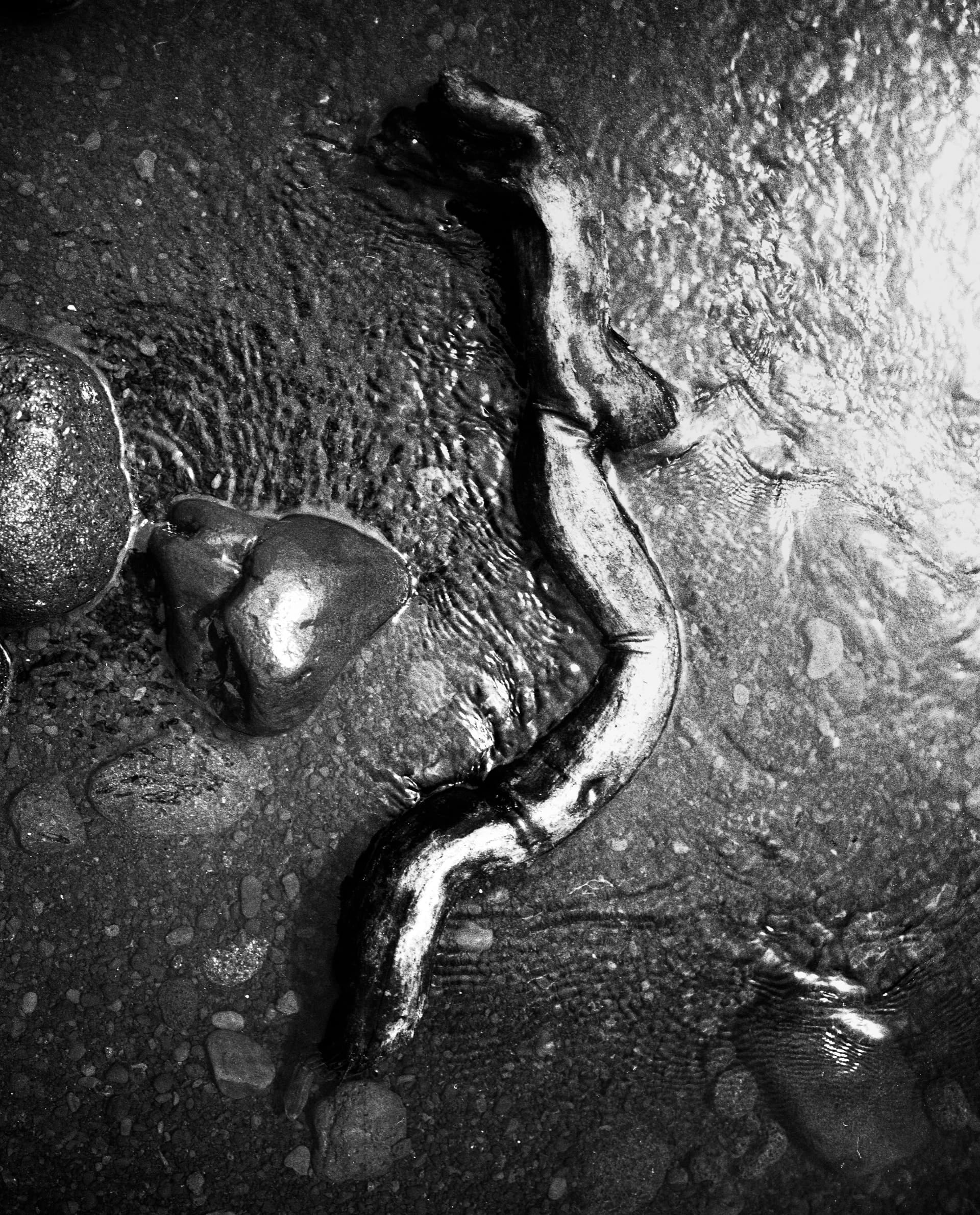 Black and white photograph of rusted metal and stones in shallow water